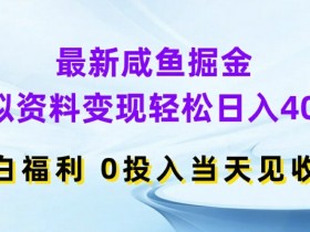 咸鱼掘金：虚拟资料变现日入400+，0投入小白当天见收益揭秘-54创业网