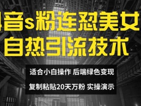 20天万粉抖音s粉矩阵技术：美女号自热引流揭秘，无需实名复制粘贴-54创业网
