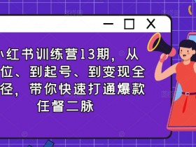 小红书训练营13期：定位起号变现全攻略，快速打通爆款任督二脉-54创业网