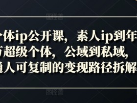 素人ip到年入百万：新个体ip公开课拆解公域私域变现路径-54创业网