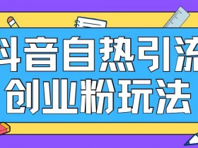抖音创业粉引流秘籍：自热玩法日加200精准粉，轻松变现-54创业网