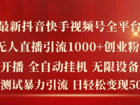 抖音快手视频号无人直播引流创业粉：日赚5K+的精准变现秘籍-54创业网