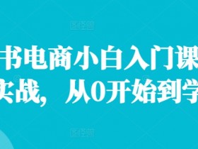 小红书电商小白入门课：0基础店群实战，手把手教你开店赚钱-54创业网
