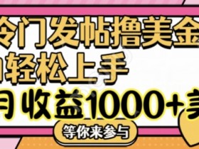 冷门发帖撸美金项目：月赚1000+美金，简单无脑操作，新手也能轻松上手-54创业网