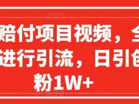 日引1W+创业粉的爆火赔付项目：揭秘全网引流技巧-54创业网