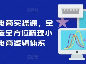 小红书电商运营课：0基础入门到精通，手把手教你玩转小红书卖货-54创业网