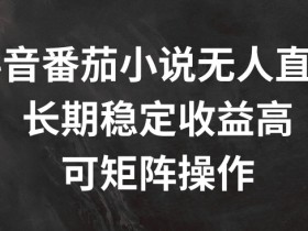 抖音番茄小说无人直播赚钱秘籍：长期稳定高收益，矩阵操作轻松上手-54创业网