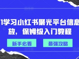 小红书聚光投放教程：0-1入门到精通，信息流广告保姆级实操指南-54创业网