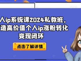 2024个人IP系统课私教班：高价值IP打造涨粉转化变现闭环-54创业网