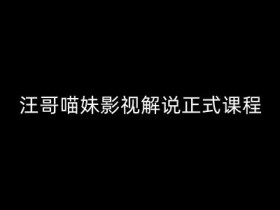 汪哥影视解说课程：5大黄金法则+7把利器，剪映/PR全流程教学，零基础学剪辑-54创业网