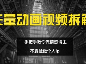 情感博主必备：矢量动画视频制作全攻略，不露脸打造个人IP-54创业网