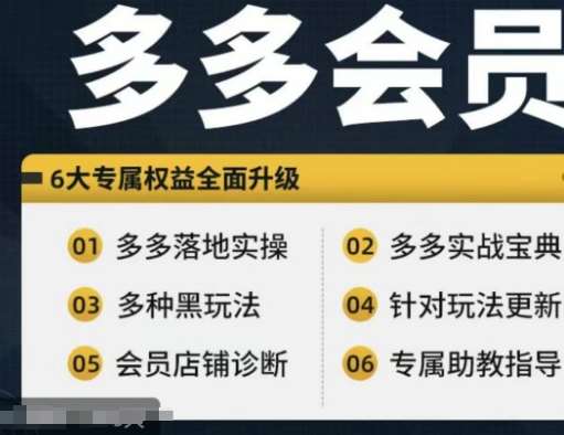 拼多多会员实战宝典：新手到高阶运营技巧，全面覆盖实操落地-54创业网