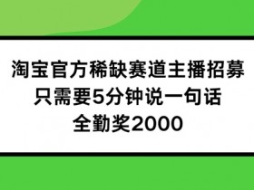 淘宝主播招募：5分钟一句话赚2000全勤奖，官方稀缺赛道速抢！-54创业网
