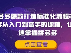 拼多多爆款打造2.0：从入门到高手速成课，快速掌握拼多多运营秘籍-54创业网