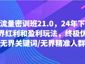 24年下半年线上流量密训班21.0：无界红利+盈利玩法终极优化，精准人群与关键词实战-54创业网