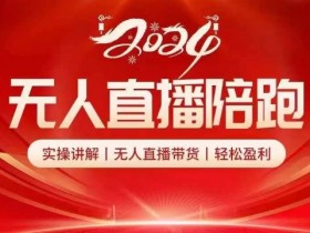 2024无人直播带货实操课：陪跑教学轻松盈利，零基础也能赚钱-54创业网