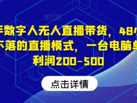 快手数字人无人直播带货：48小时日不落模式，单日利润200-500元-54创业网
