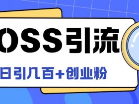 Boss直聘创业粉引流秘籍：日加100+精准粉实战教程大公开-54创业网