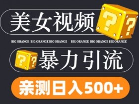 TK美女视频搬运变现秘籍：日引300+s粉，不限流量不封号-54创业网