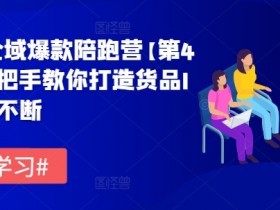 货品IP全域爆款陪跑营第4期：手把手教你打造爆款IP，持续热卖-54创业网