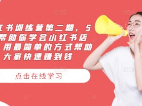 5天学会小红书店铺运营：小红书训练营第二期，快速赚钱最简单方法-54创业网