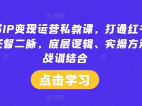 小红书IP变现课：0基础掌握红书运营底层逻辑+实操变现-54创业网