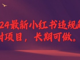2024小红书违规解封项目揭秘：长期稳定副业，轻松做到退休的赚钱攻略-54创业网