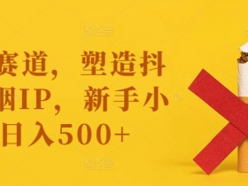 抖音戒烟IP赚钱攻略：新手小白日入500+的蓝海赛道揭秘-54创业网