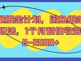 闲鱼掘金全案：1个月赚500-2000+的流量掘金计划-54创业网