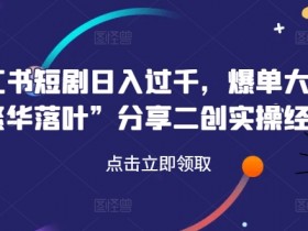 爆单短剧日入过千！繁华落叶小红书二创实操经验分享-54创业网