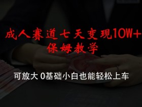 0基础小白7天变现10W+：成人赛道保姆级教学，可放大模式揭秘-54创业网