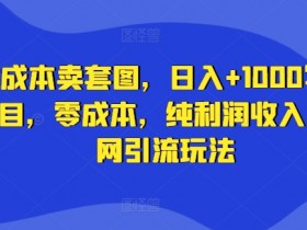 零成本卖套图日入1000：写真项目纯利润全网引流玩法-54创业网