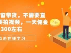 视频号橱窗带货：不用直播拍视频，日赚300元佣金实战技巧-54创业网