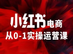 小红书电商运营课：0-1实操指南，新手变精英速成攻略-54创业网