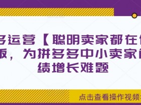 拼多多运营技巧：中小卖家业绩增长秘籍，聪明卖家都在用-54创业网