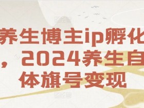 2024养生博主ip孵化课：自媒体旗号变现实战指南-54创业网