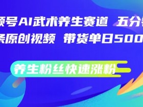 AI武术养生视频号：5分钟原创日带货过万，养生粉暴涨秘诀-54创业网