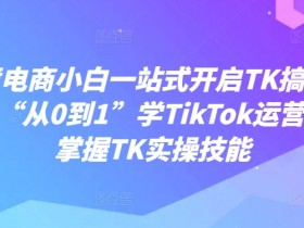 跨境电商从0到1学TikTok运营：TK小白实操搞钱全攻略-54创业网