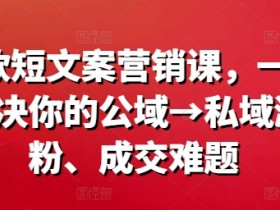 公域转私域涨粉成交课：爆款短文案营销实战技巧-54创业网