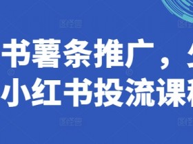 小红书薯条推广课程：手把手教你玩转小红书投流技巧-54创业网