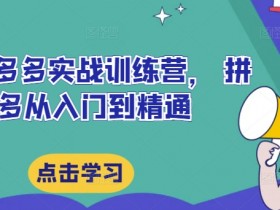 拼多多实战训练营：零基础入门到精通运营技巧-54创业网