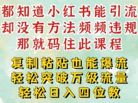 减肥干货：小红书1周破万流量池，日引流变现4位数【揭秘】-54创业网