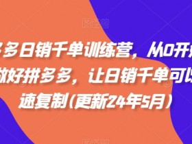 拼多多日销千单训练营：0基础速成，快速复制爆单技巧(2024.8更新)-54创业网