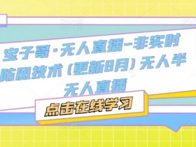 宝子哥无人直播技术：9月最新非实时防风方案，半无人直播神器-54创业网