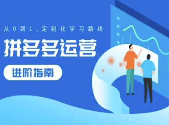 拼多多运营进阶指南：0基础到精通定制化学习路线-54创业网