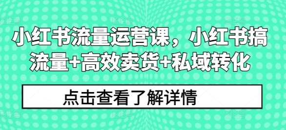 小红书运营课：3招搞流量+高效卖货+私域转化秘籍-54创业网