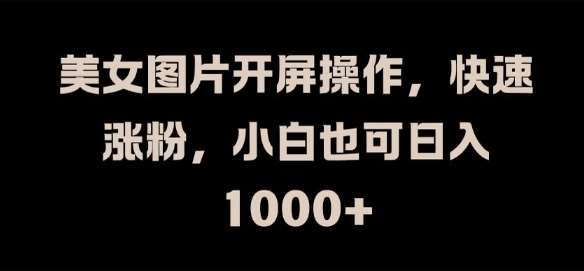 美女图片涨粉秘籍：小白日入1k的开屏操作技巧大公开-54创业网