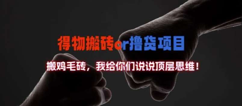 得物搬砖撸货项目赚钱吗？揭秘顶层思维与实战数据-54创业网