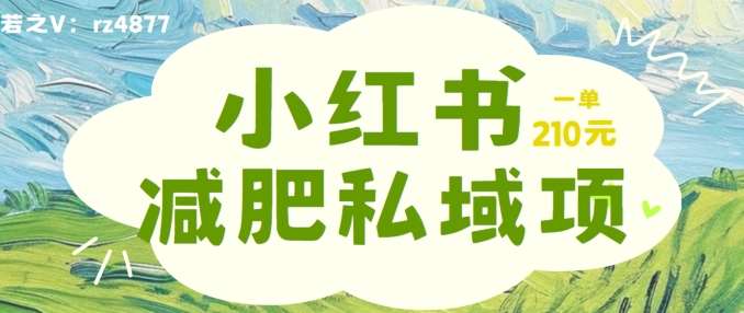 小红书减肥粉私域变现：一单赚210元，小白轻松上手揭秘-54创业网