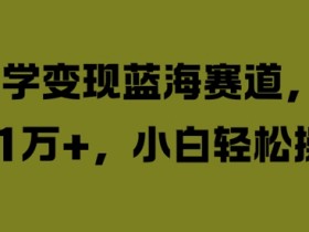 国学变现赚钱：小白月入1W+的蓝海赛道实操揭秘-54创业网